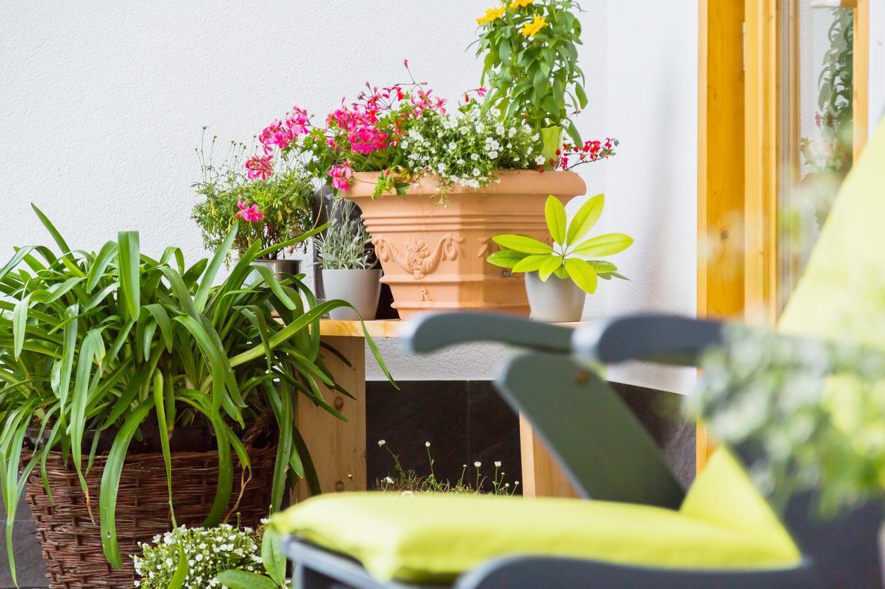 Apartamento Wildgrün Pfronten Exterior foto